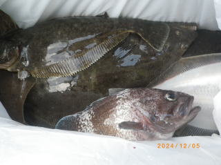 青森県釣り船さかした釣具店